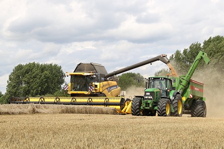 Ernte 2017. Foto: &copy; Lucas Colsman